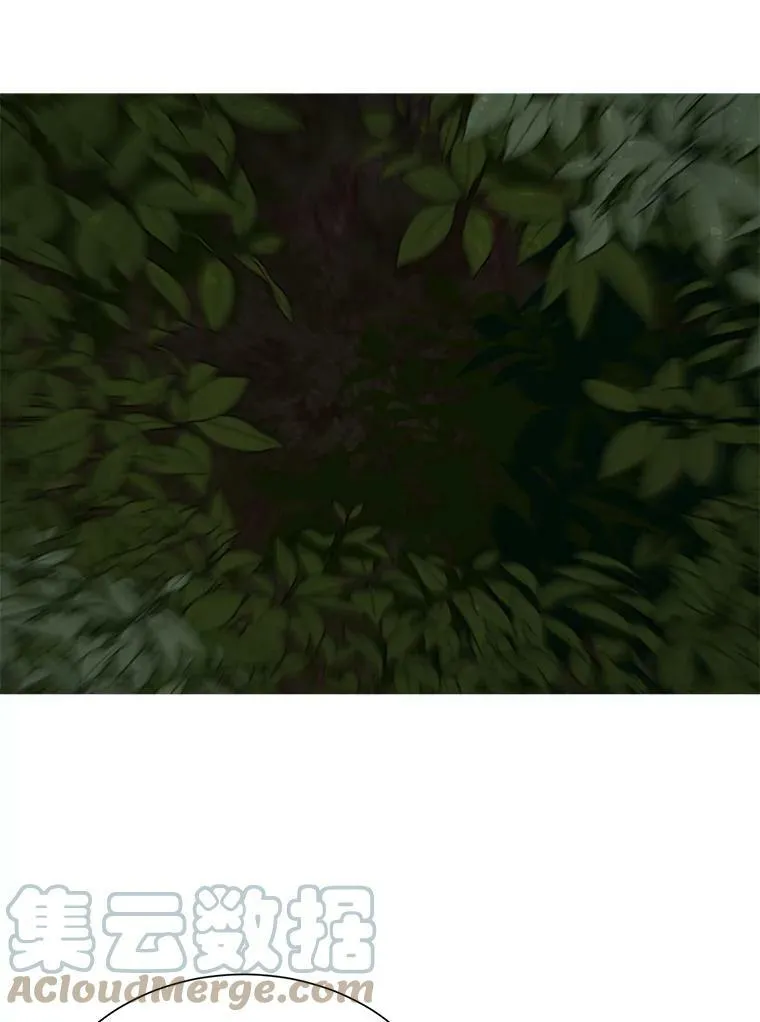 37.树林里的危机 第37页