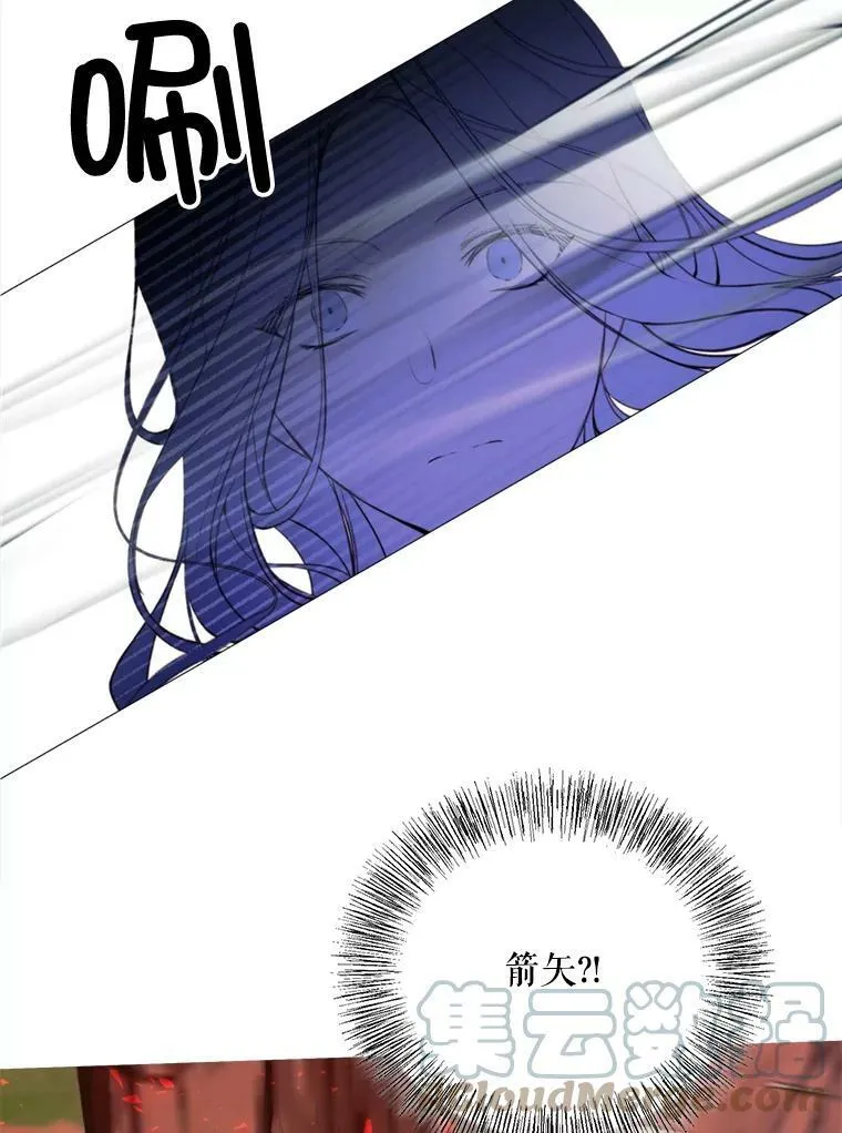 37.树林里的危机 第40页