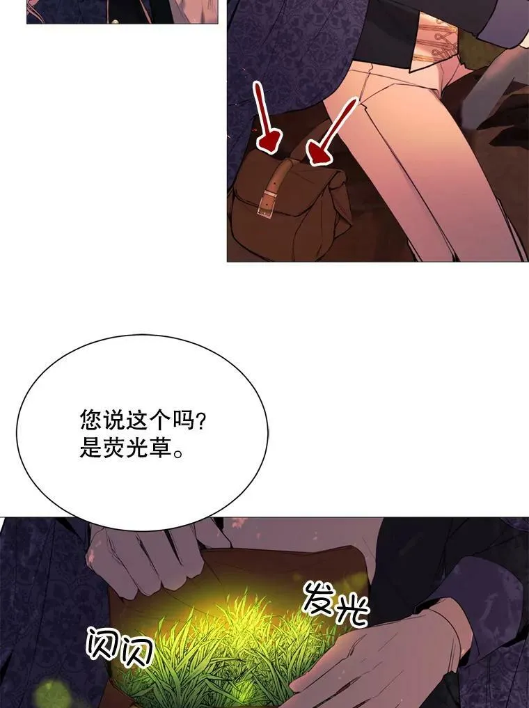 37.树林里的危机 第53页