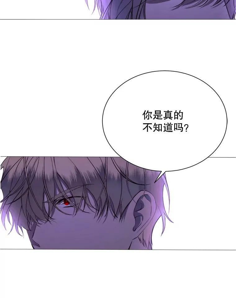 38.失踪 第41页