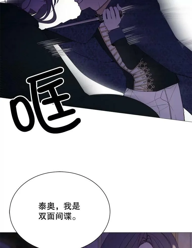 40.双面间谍 第5页