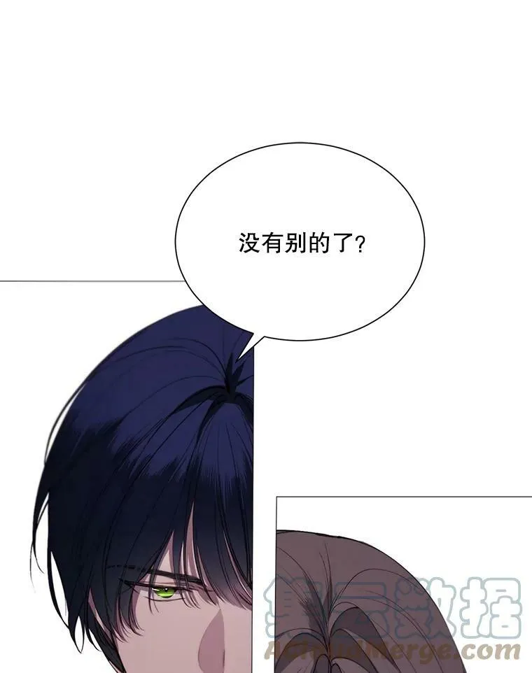 40.双面间谍 第13页