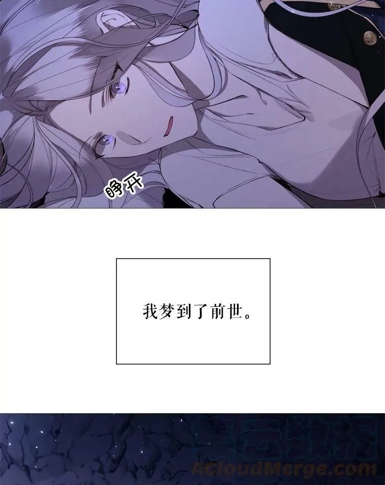 40.双面间谍 第37页