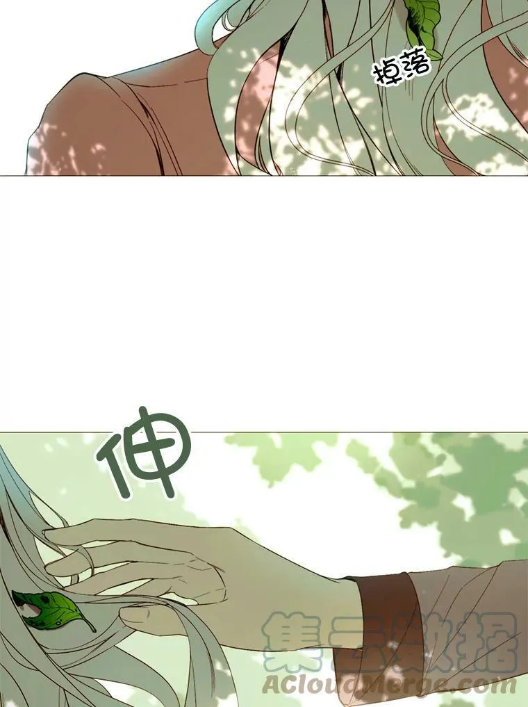 44.最好的选择 第40页