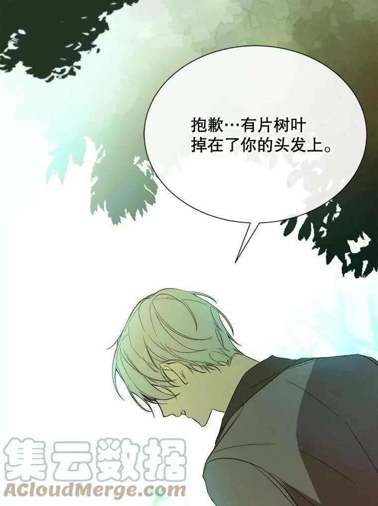 44.最好的选择 第43页
