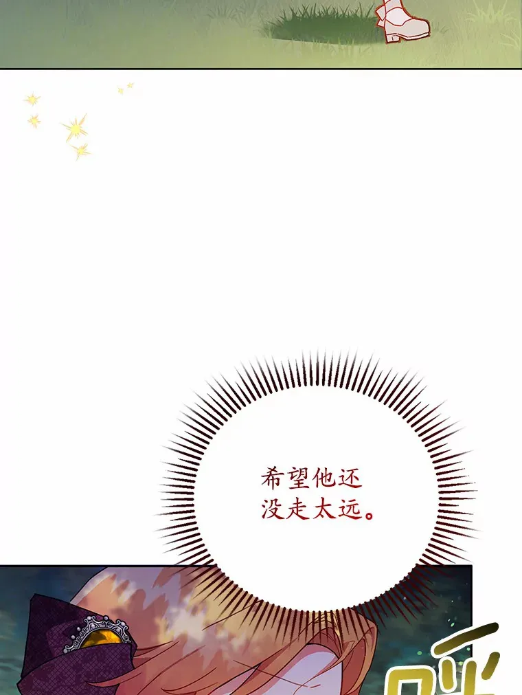 5.寻找阿尔韦特 第79页