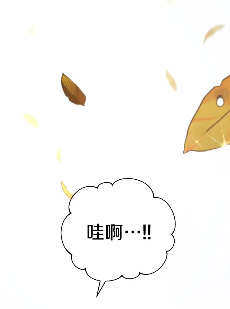 12.庭园赏景 第88页