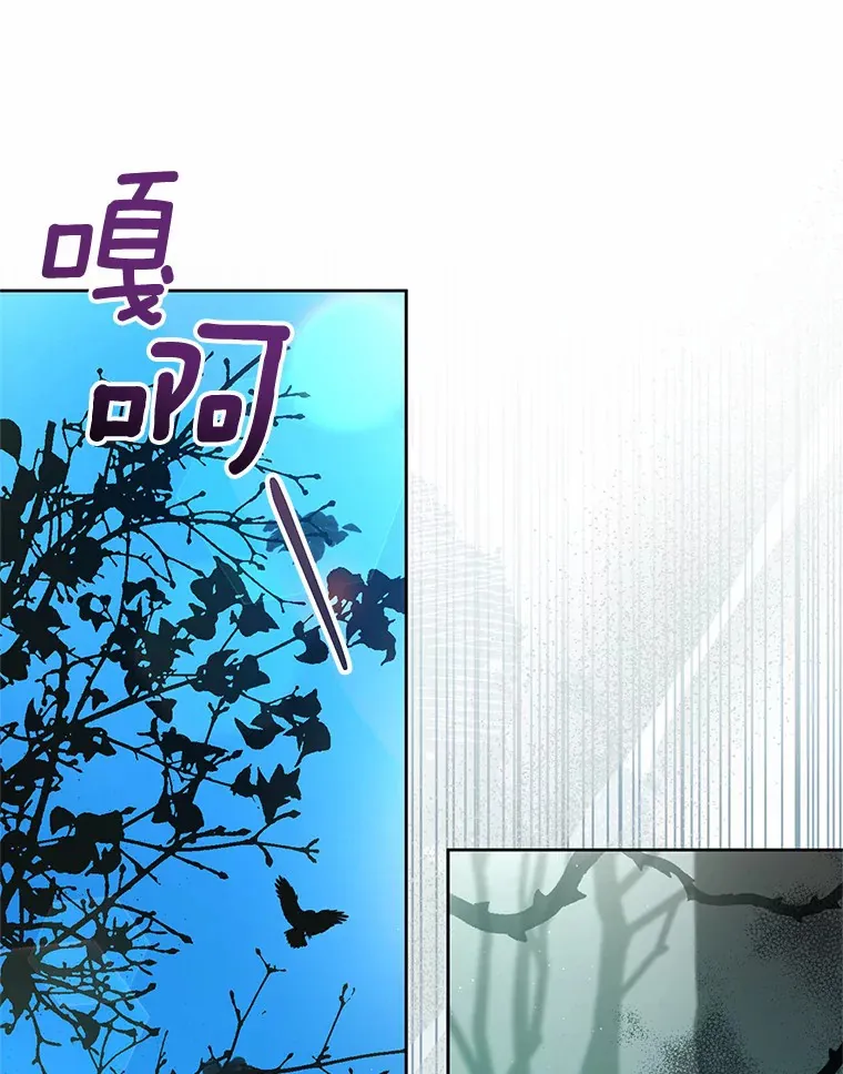 12.庭园赏景 第94页