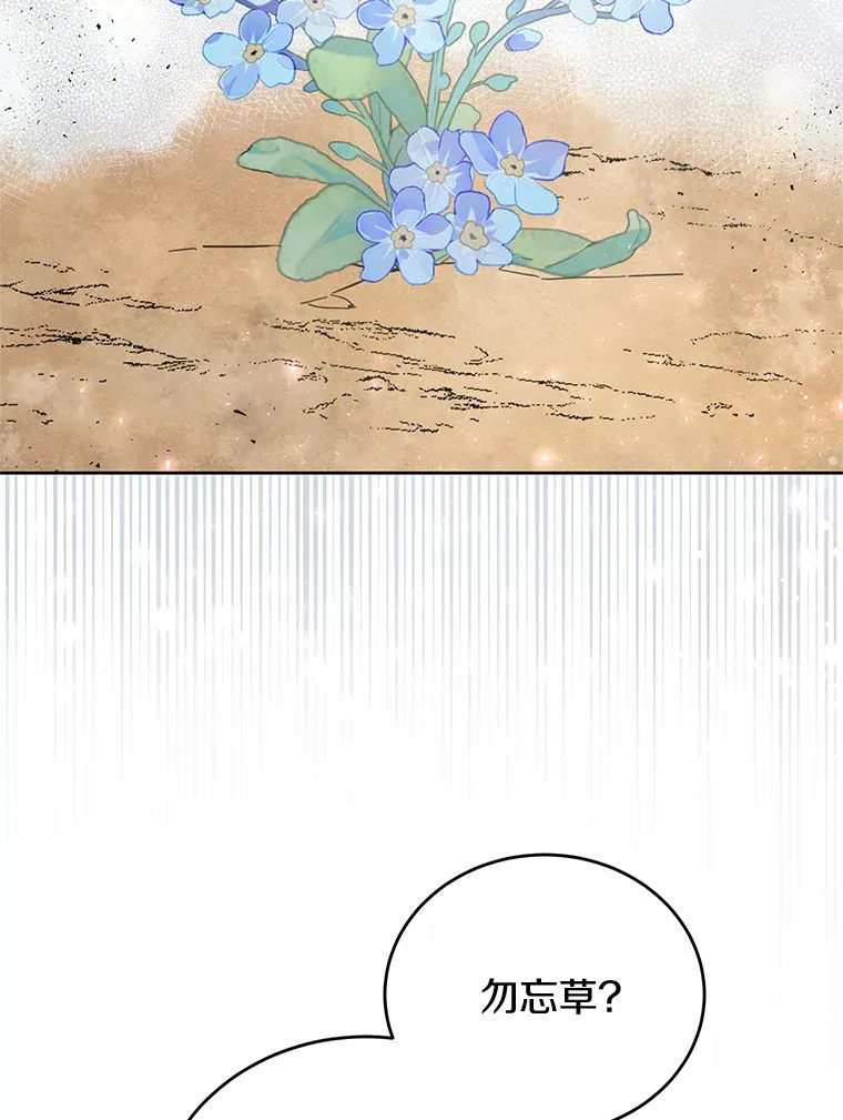 14.初露锋芒 第11页