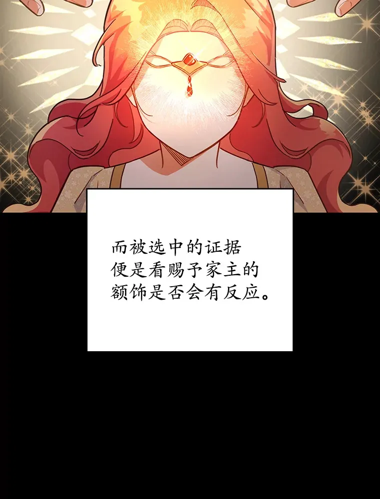 15.家主候选人 第17页