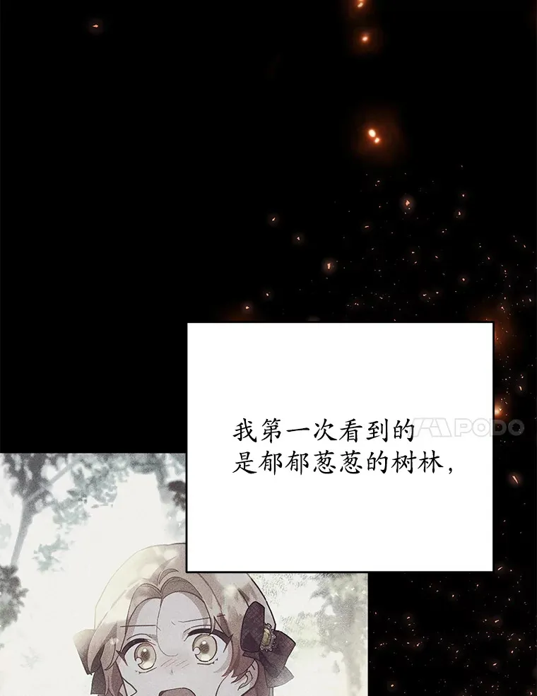19.如此喜欢你 第77页