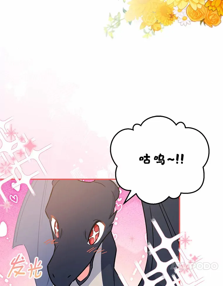 30.获得翼龙 第17页
