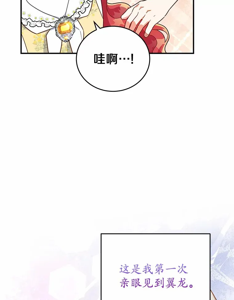 30.获得翼龙 第23页