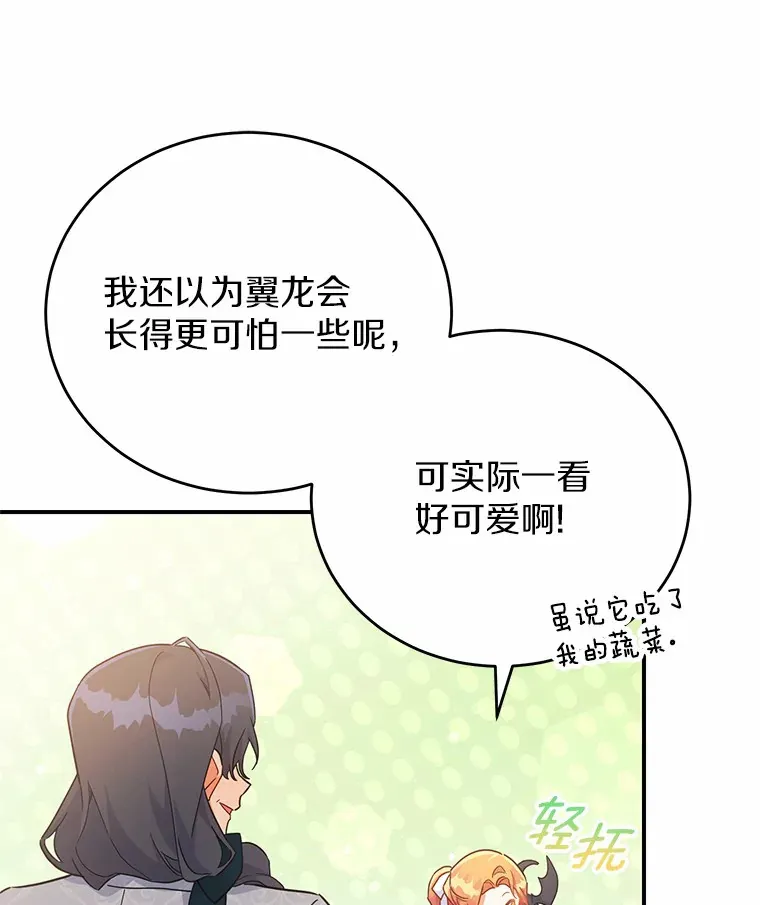 30.获得翼龙 第27页