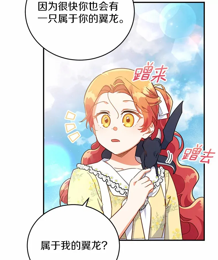 30.获得翼龙 第29页