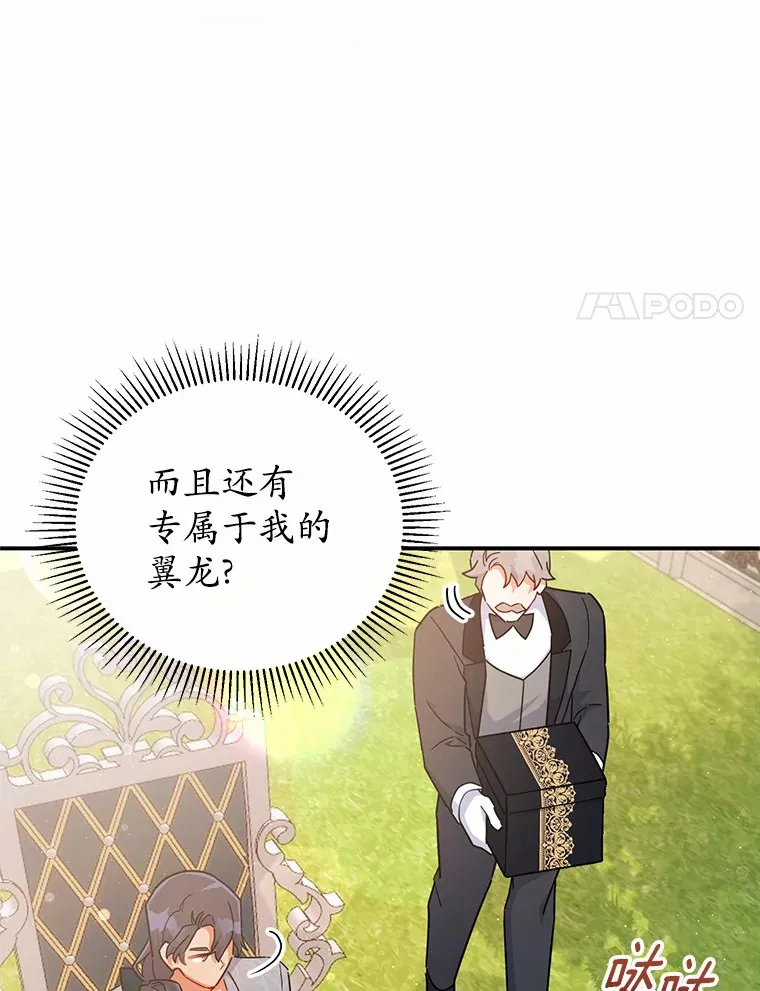 30.获得翼龙 第46页