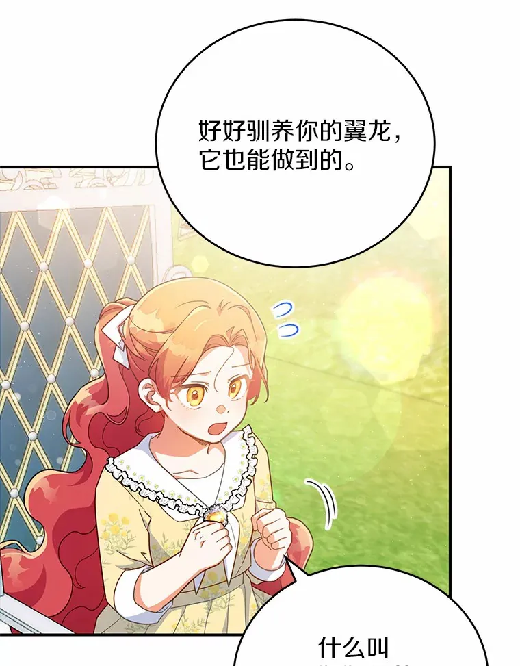 30.获得翼龙 第71页