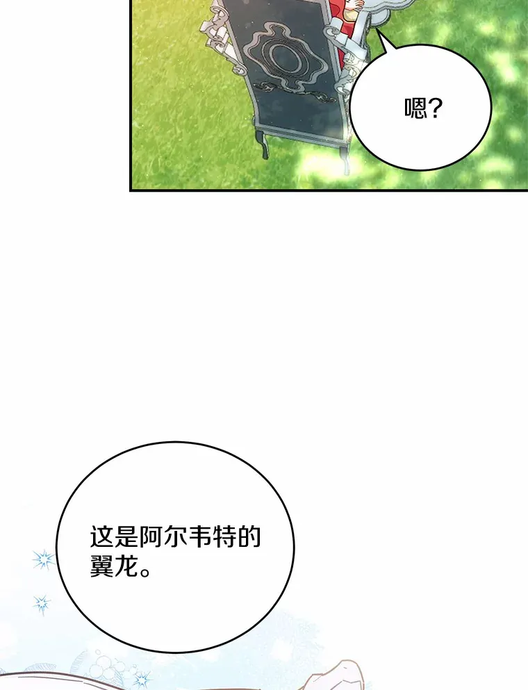 30.获得翼龙 第80页