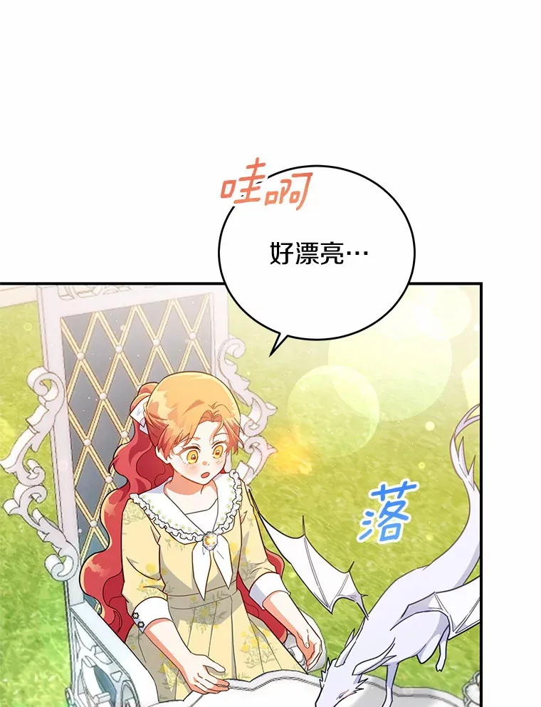 30.获得翼龙 第82页