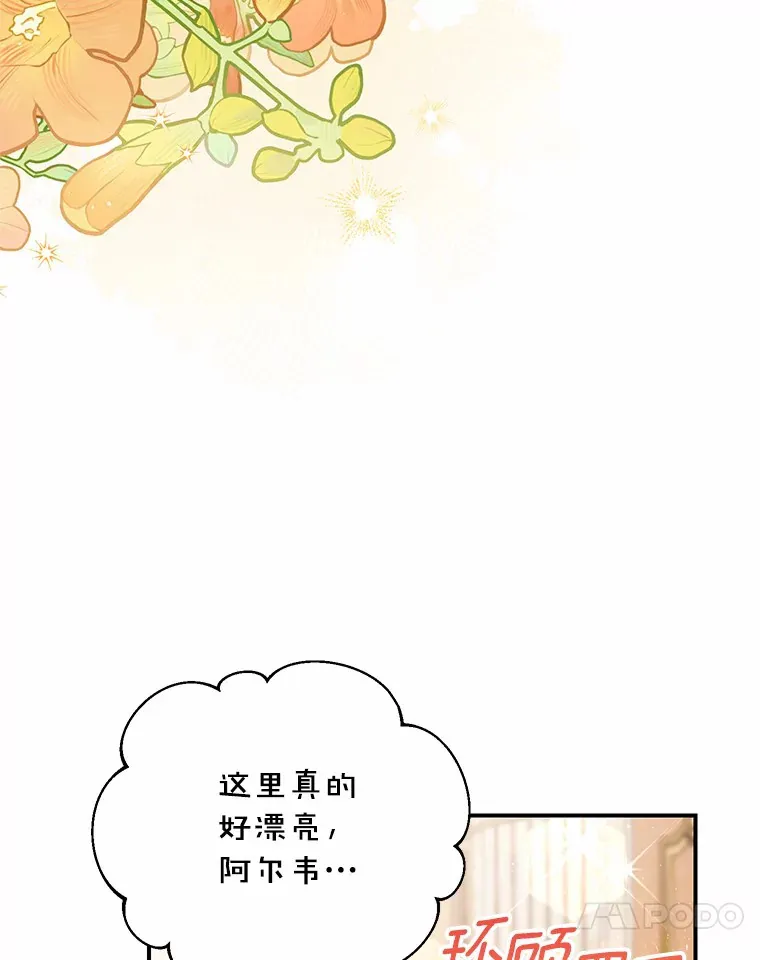31.设计花床 第25页