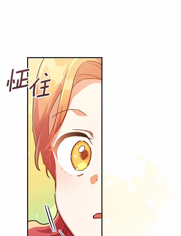 31.设计花床 第27页