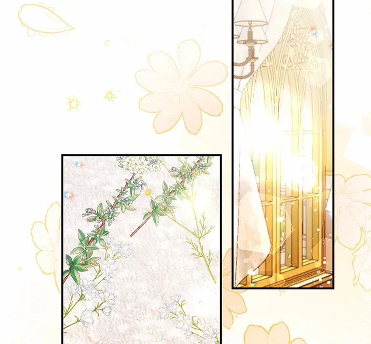 32.赠送花篮 第61页