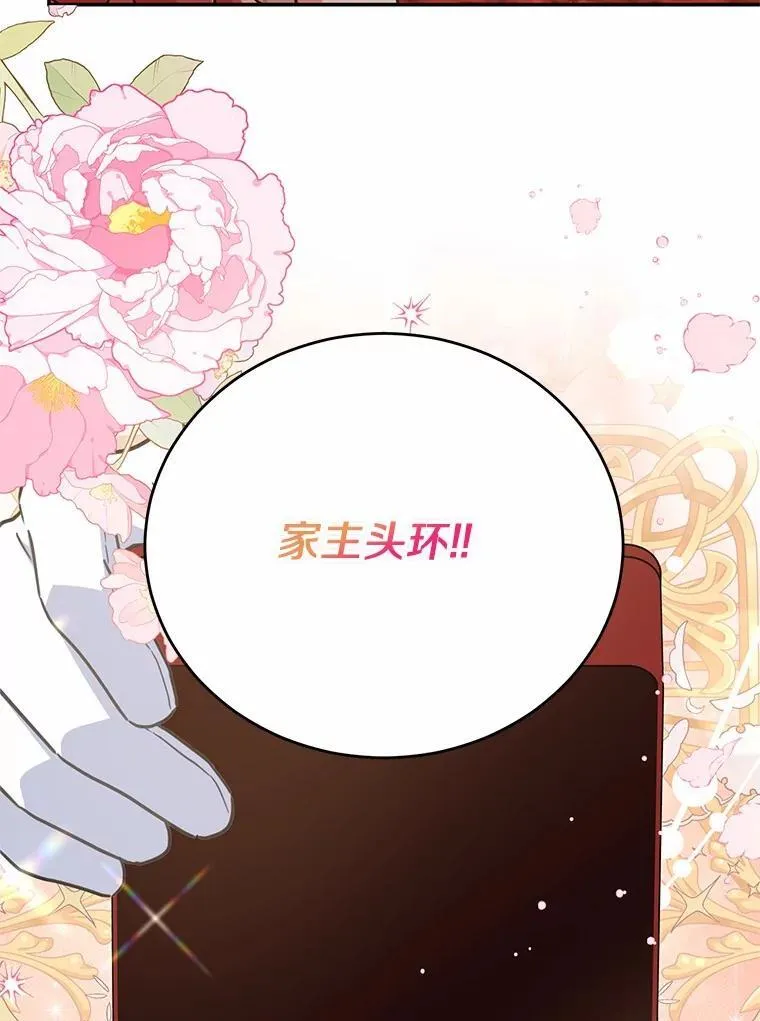 43.家主的象征 第96页