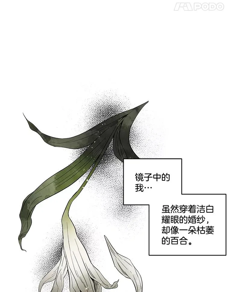 3.试婚纱 第32页