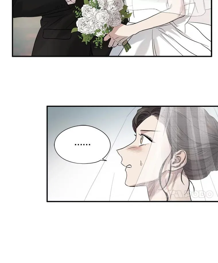 3.试婚纱 第56页