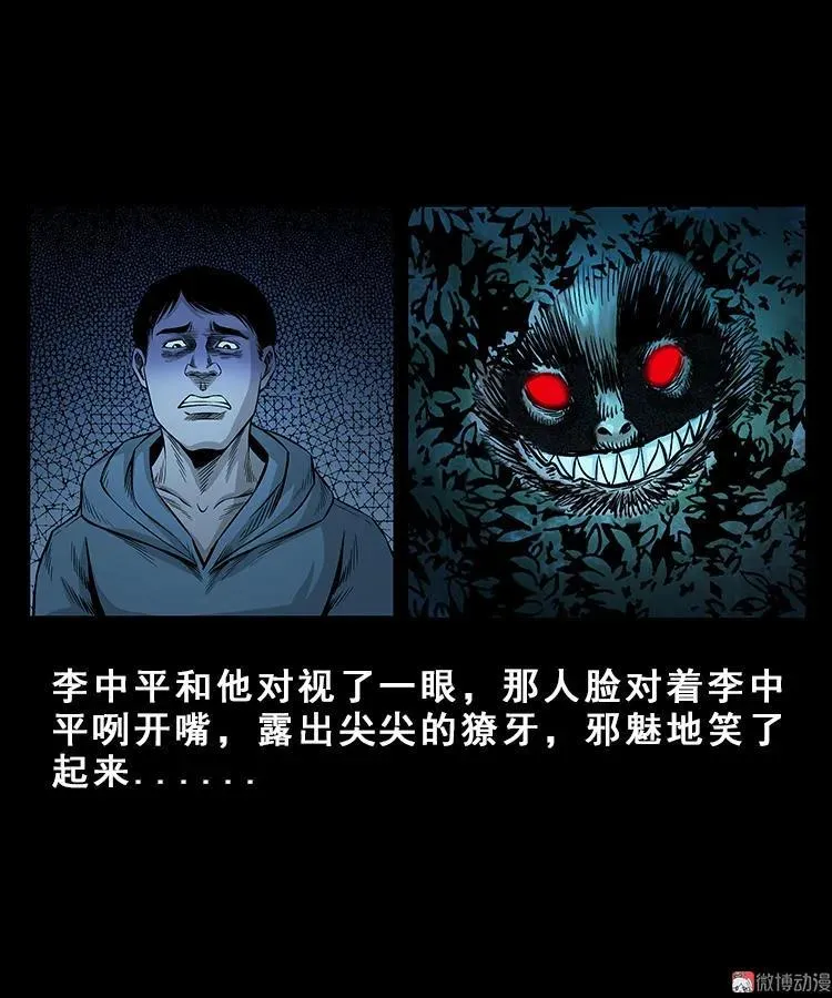 人面獾 第14页