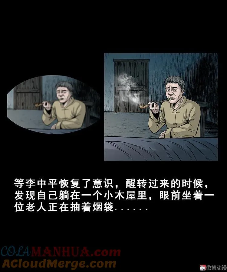 人面獾 第19页