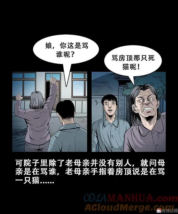 黑猫 第5页