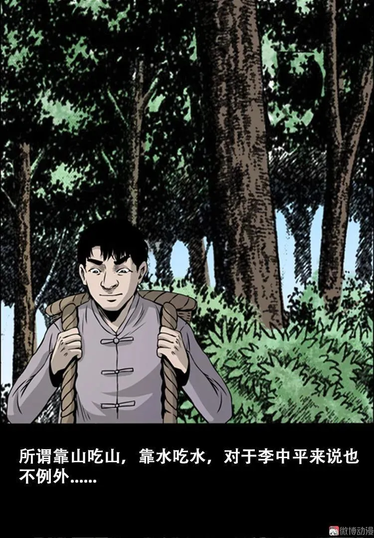 北瓜（上） 第3页