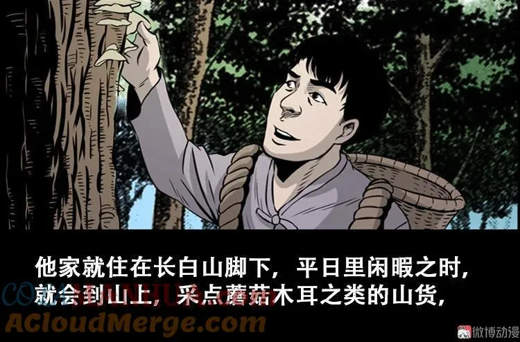 北瓜（上） 第4页