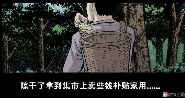 北瓜（上） 第5页
