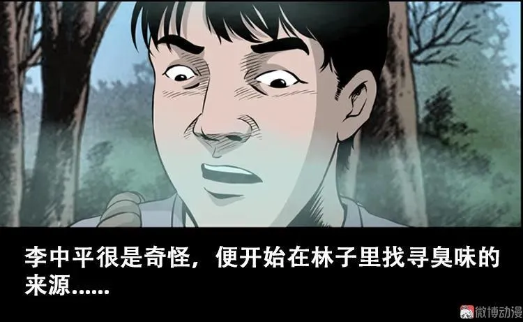 北瓜（上） 第9页
