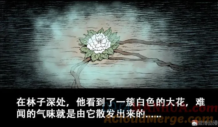 北瓜（上） 第10页