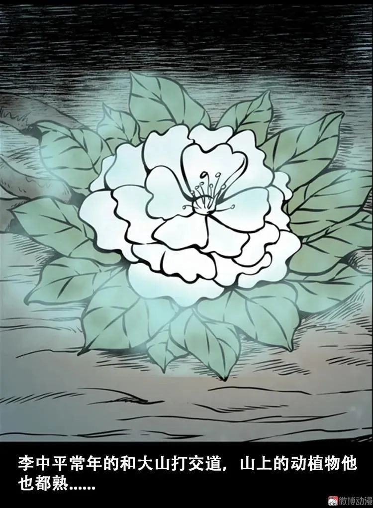 北瓜（上） 第11页