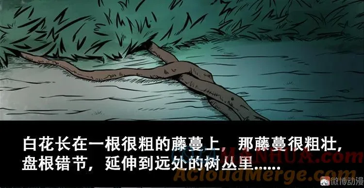 北瓜（上） 第16页