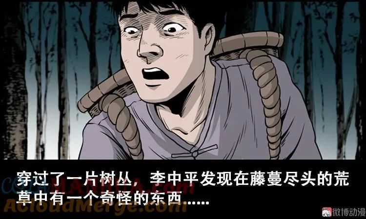 北瓜（上） 第19页