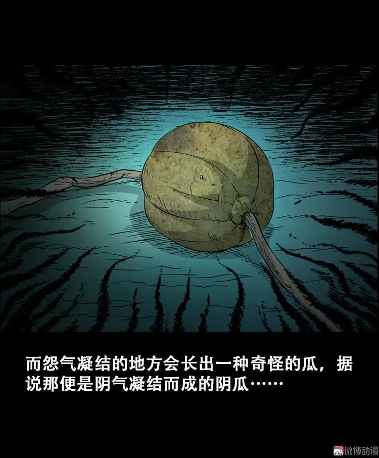 北瓜（上） 第51页