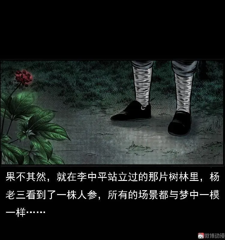 深山诡事 第77页