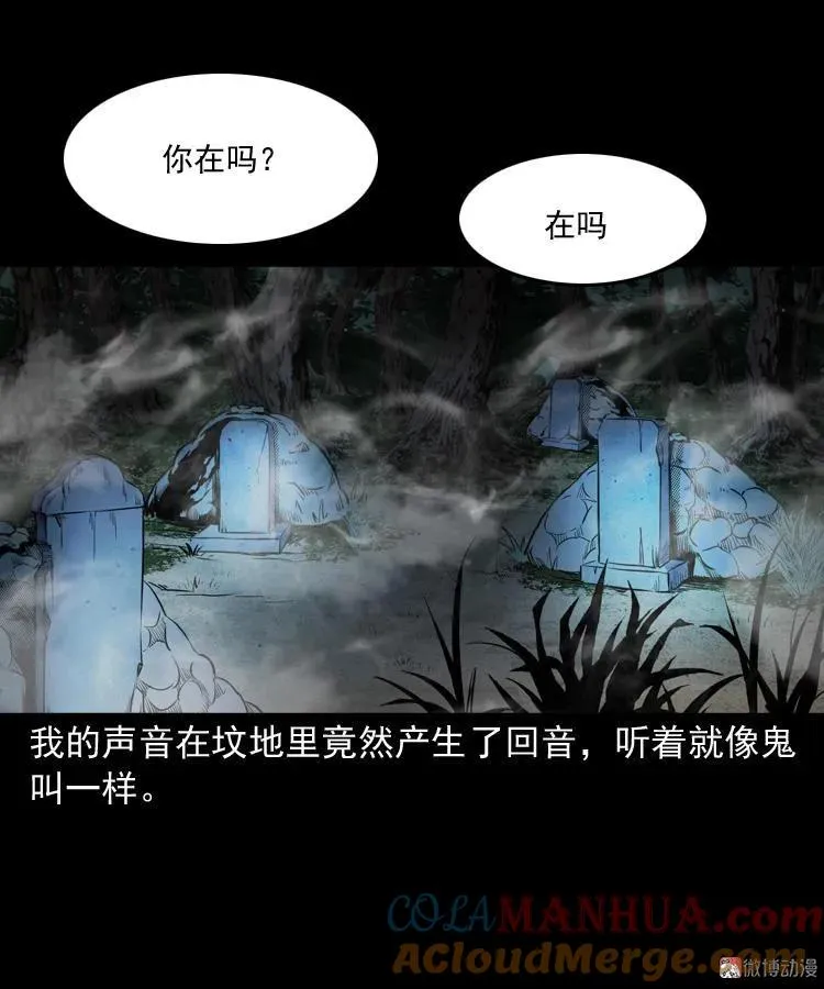 火车道诡事 第55页