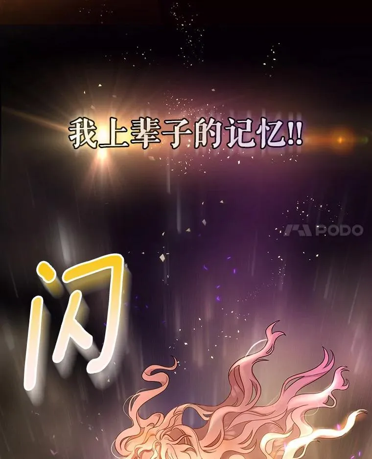 2.上辈子的记忆 第112页