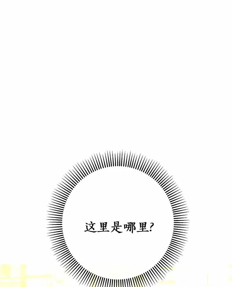 2.上辈子的记忆 第116页