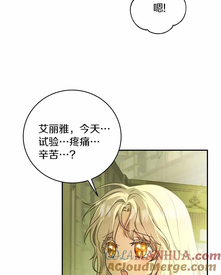 5.派 第5页