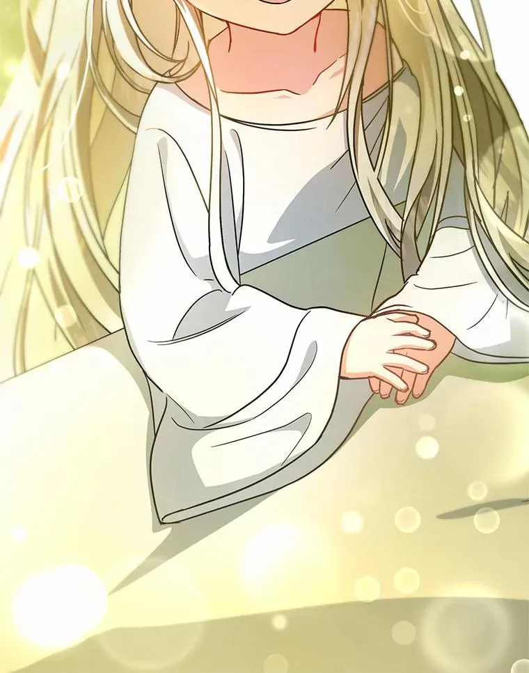 12.护卫骑士 第15页