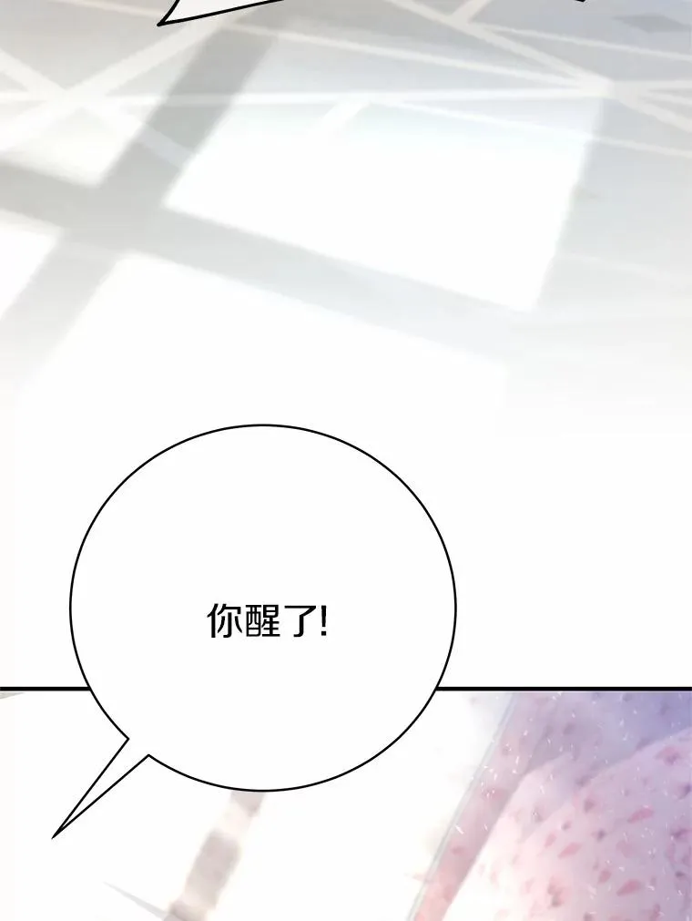 12.护卫骑士 第23页