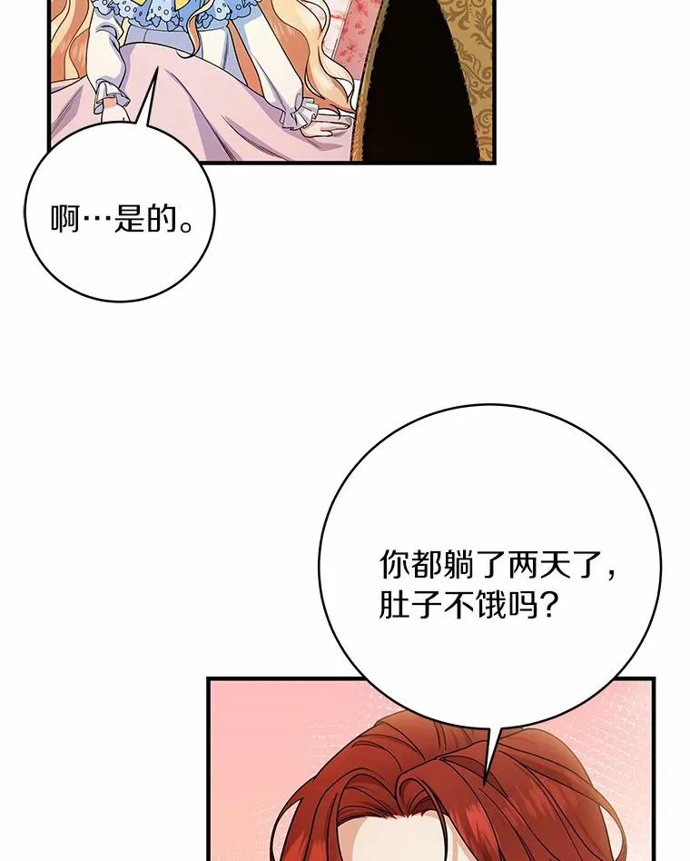 12.护卫骑士 第42页