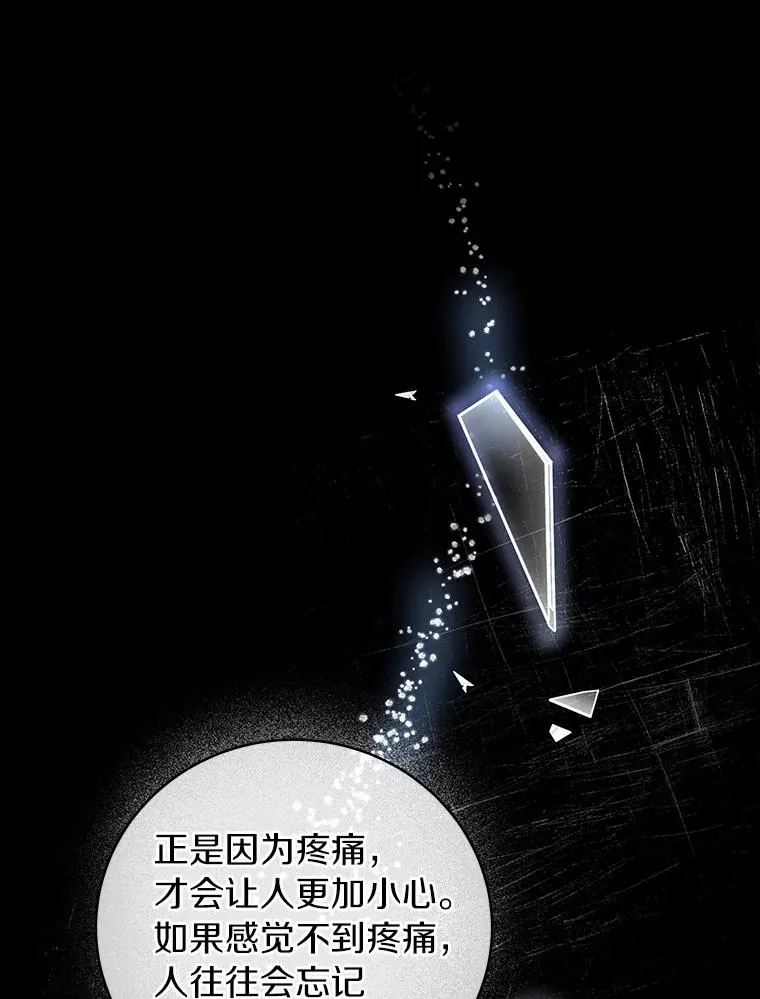 12.护卫骑士 第60页